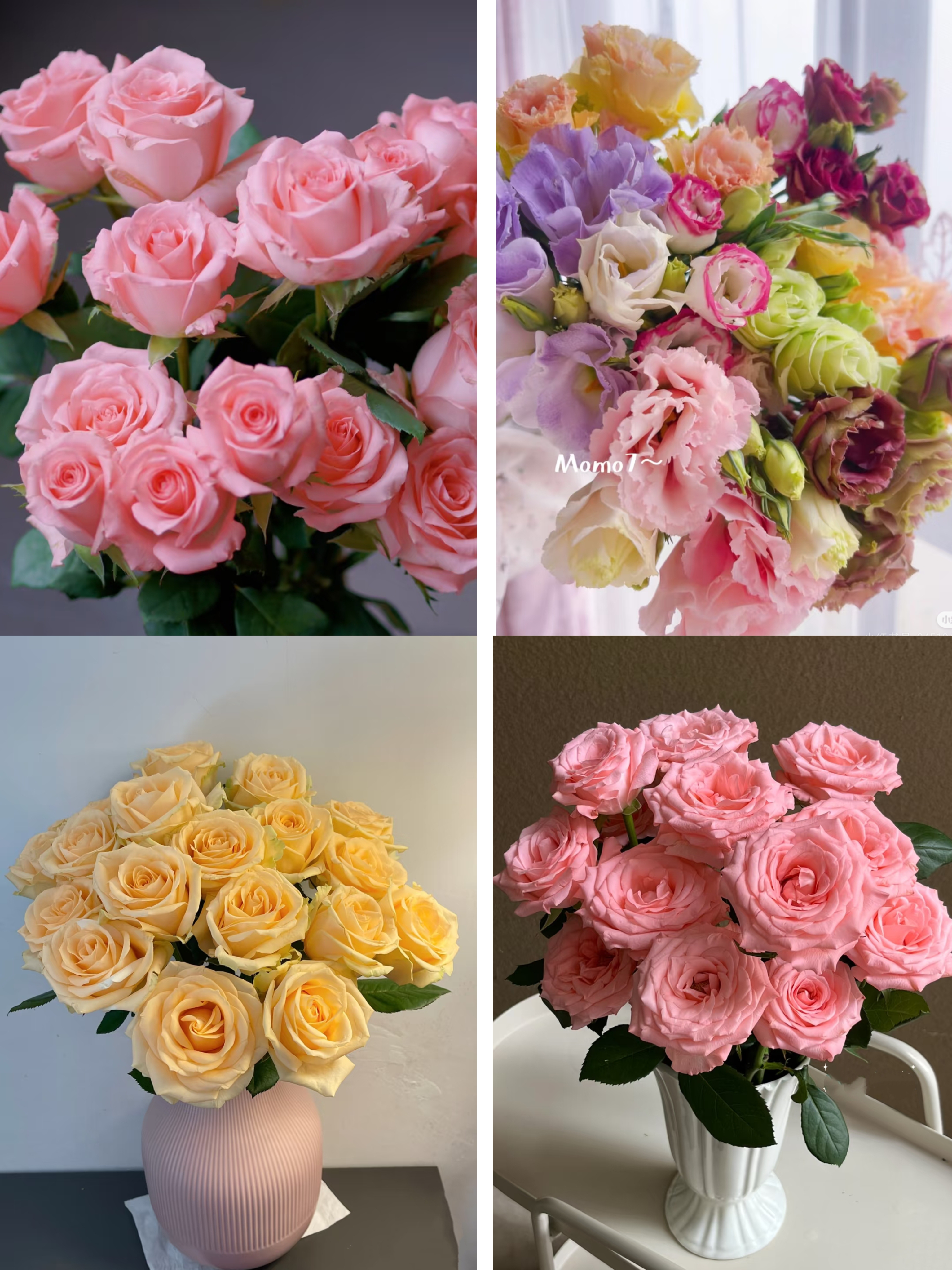 【 10枝粉玫瑰+10枝香槟玫瑰+混色洋桔梗400克】2单顺丰或德邦空运