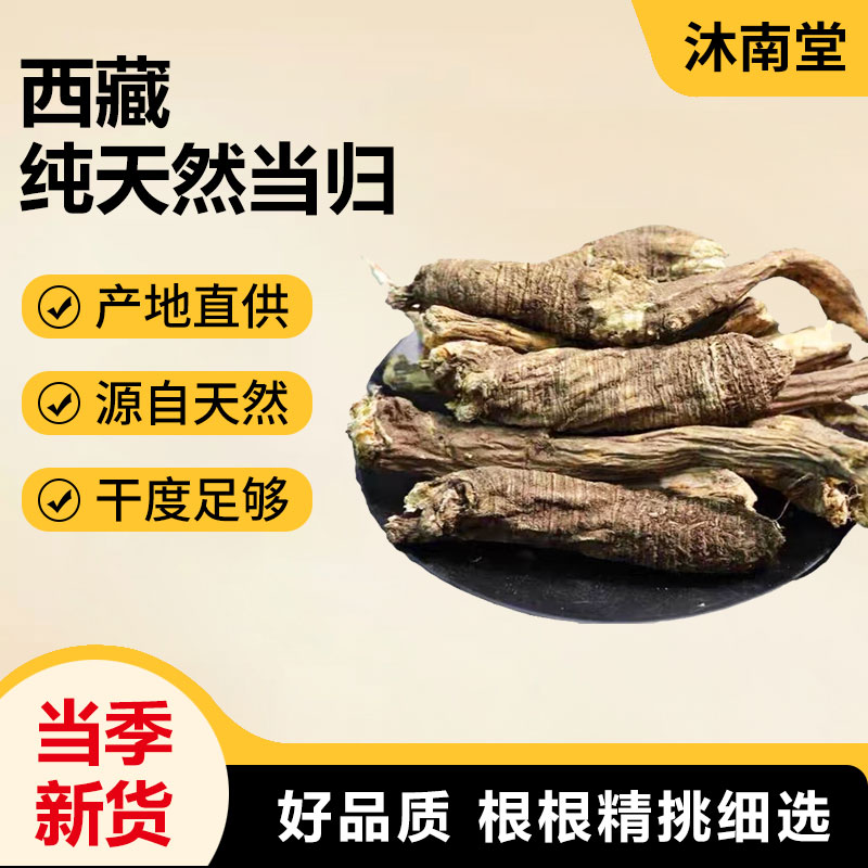西藏当归纯天然无污染干货散装
