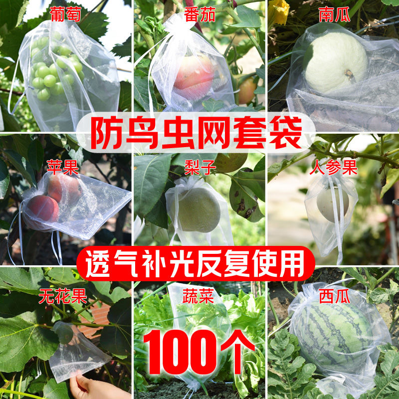 果树防鸟育苗纱网袋水果网套葡萄无花果桃子等水果专用保护套袋
