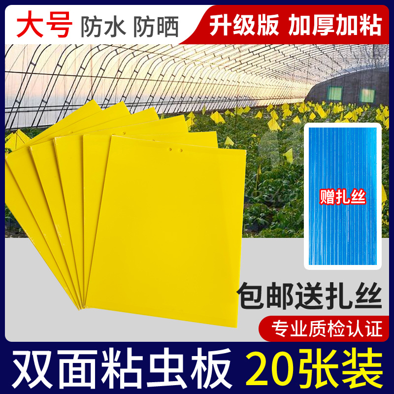 黄板双面粘虫板诱虫板贴纸灭小飞虫沾果蝇诱捕器果园蚊子苍蝇大棚