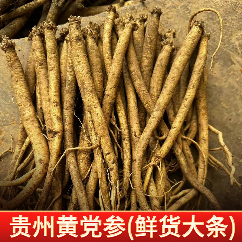 【新鲜黄党参大条】贵州农家党参自然生长煲汤 泡酒 产地直销现挖