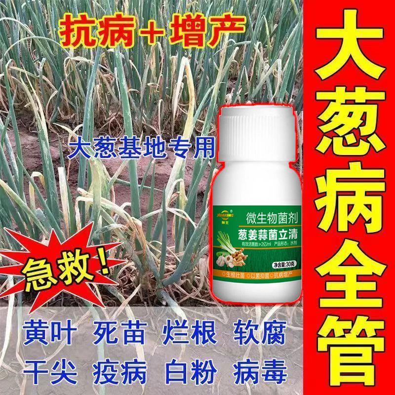 大蒜病害通用一遍净菌剂叶枯黄叶紫斑干尖疫病白粉预防菌剂