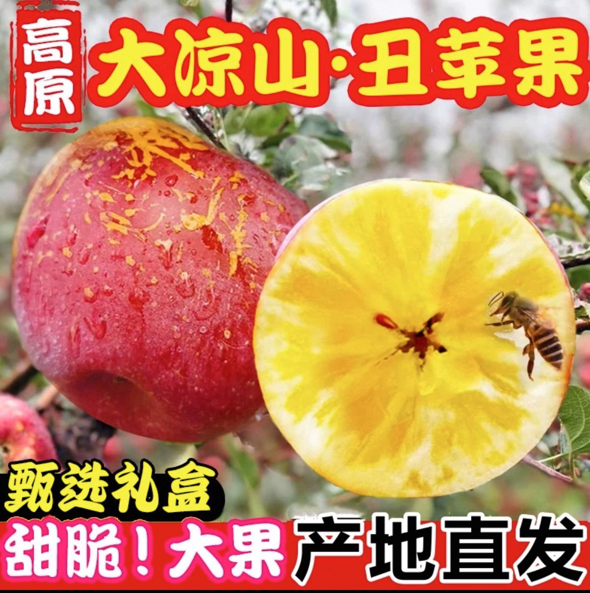 四川大凉山冰糖心丑苹果新鲜脆甜多汁产地现摘水果