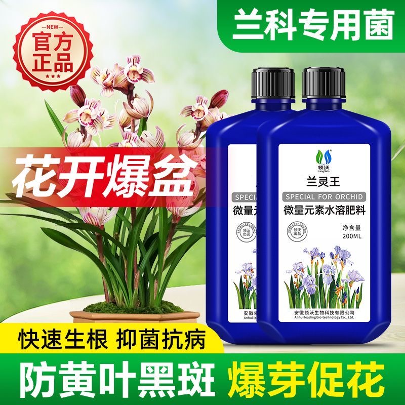 兰花专用肥料兰灵王通用营养液多箭素蝴蝶兰君子兰墨兰科开花专用