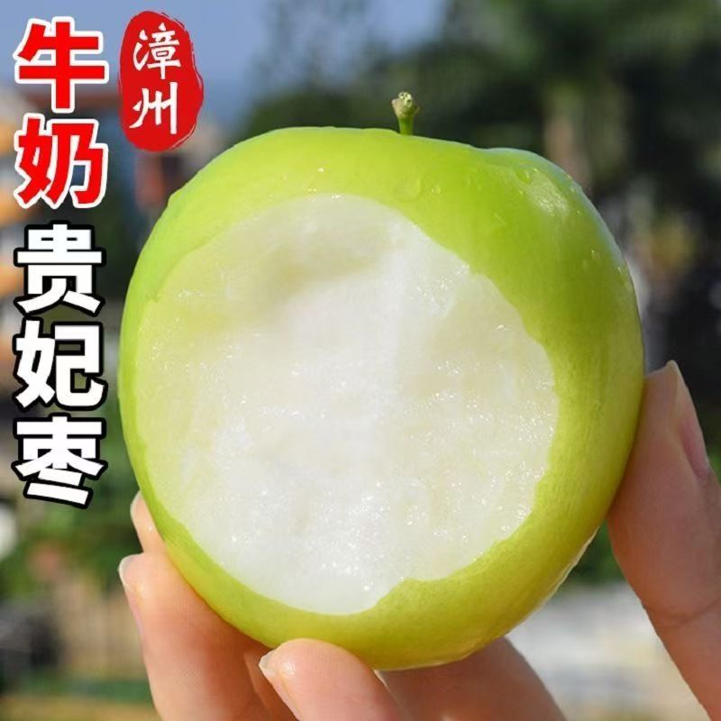 JD-SF正宗台湾不打药应季脆甜新鲜牛奶贵妃枣现摘水果果农直发