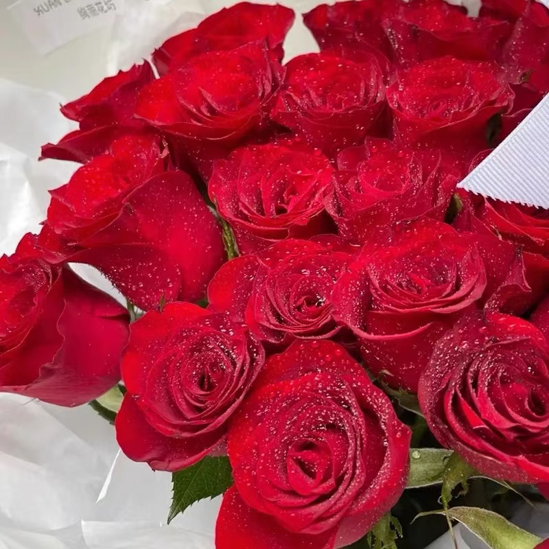 A级高原红玫瑰鲜花情人节七夕节520节日生日高端定制鲜花礼物