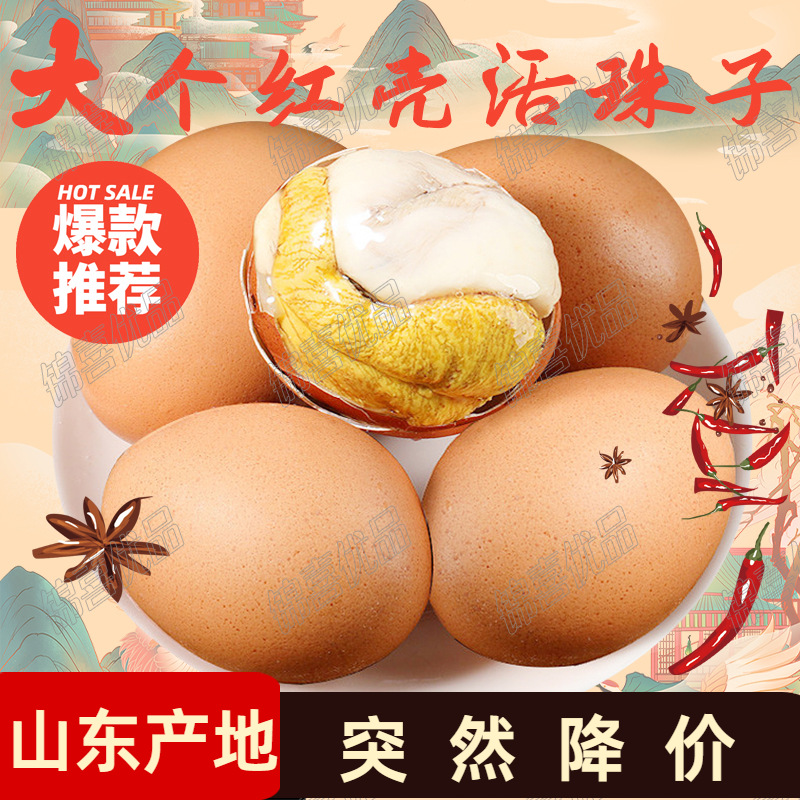 （酱总特推）13天新鲜活珠子正宗钢化蛋喜蛋毛蛋五香香辣口味即食L