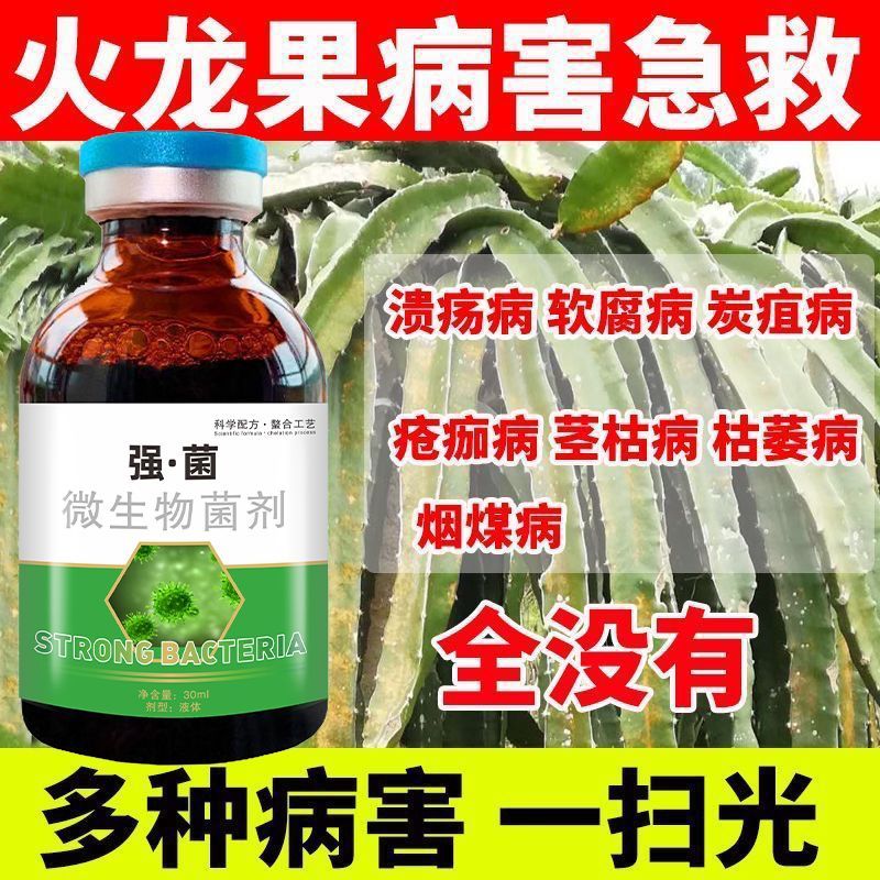 火龙果软腐病疮痂病菌剂正品药火龙果溃疡病专用药黄斑病病专用