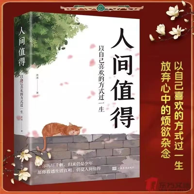 正版 人间值得 愿你历遍山河仍觉人间值得以自己喜欢的方式过一生