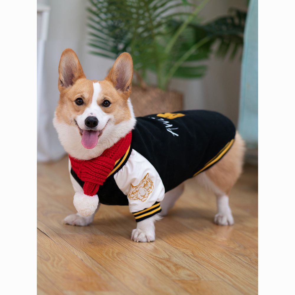 学院风狗狗衣服秋冬装潮牌棒球服柯基冬季宠物柴犬小狗中型犬比熊