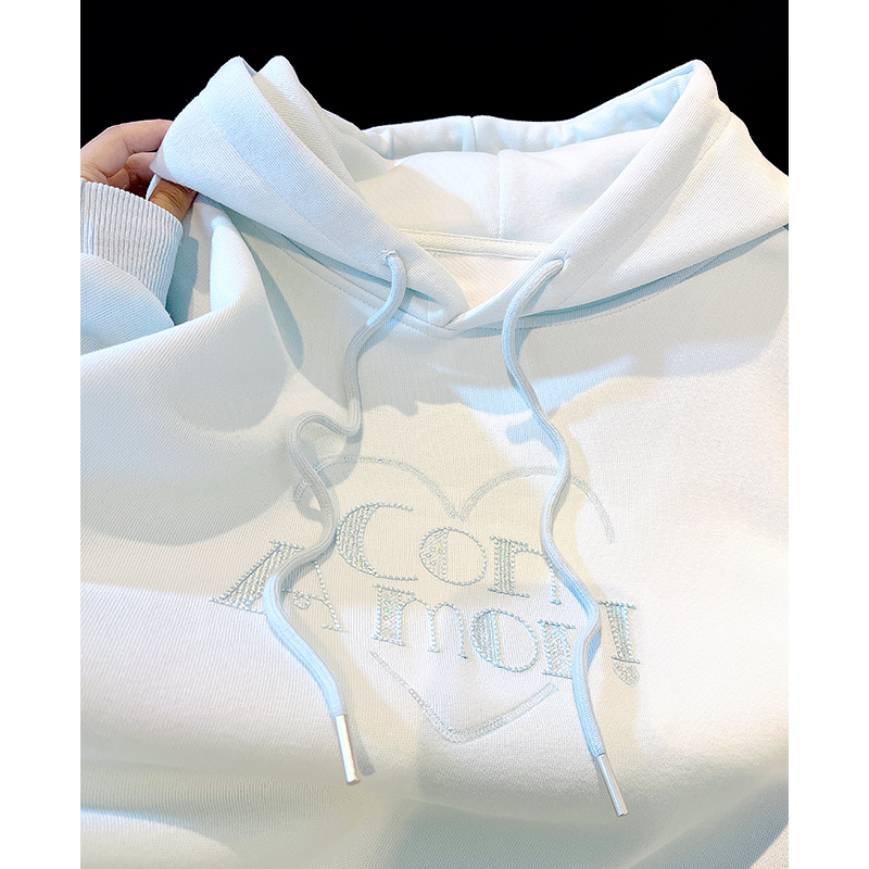 设计感小众卫衣女秋冬2026新款韩版字母刺绣加厚套头中长款外套潮