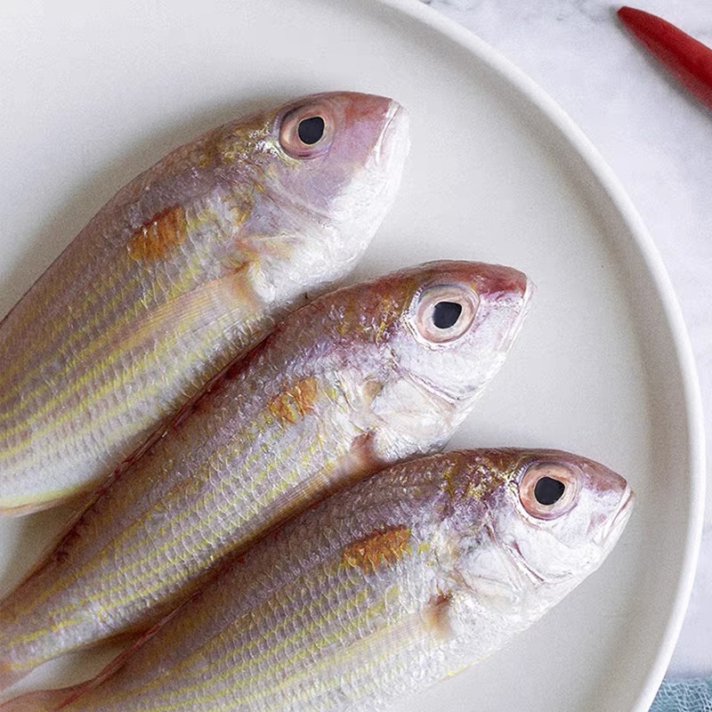 红衫鱼顺丰包邮珠海原产地美味