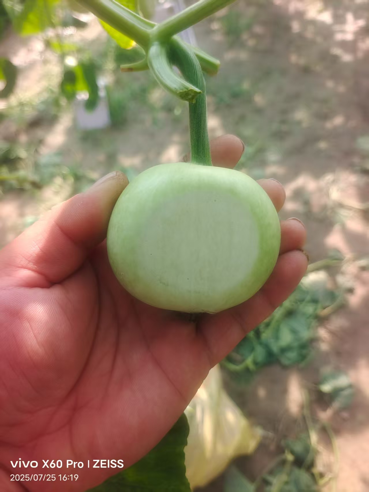 精品葫芦八宝瓶子2连接