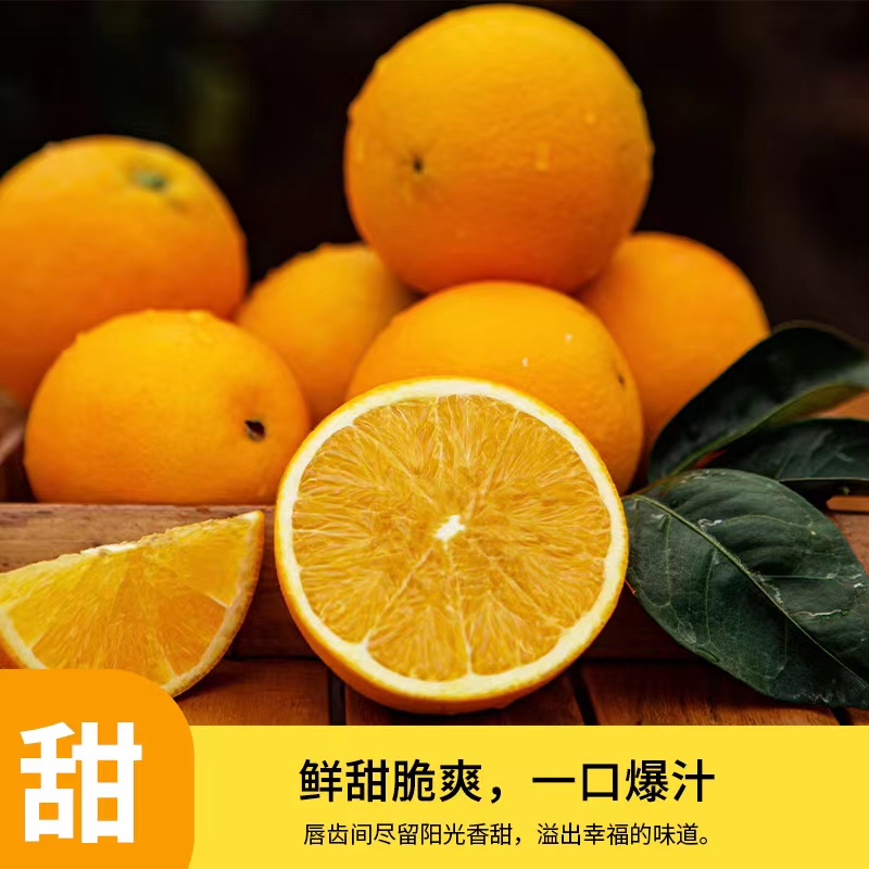 辰溪高山脐橙果园现摘现发汁水丰富