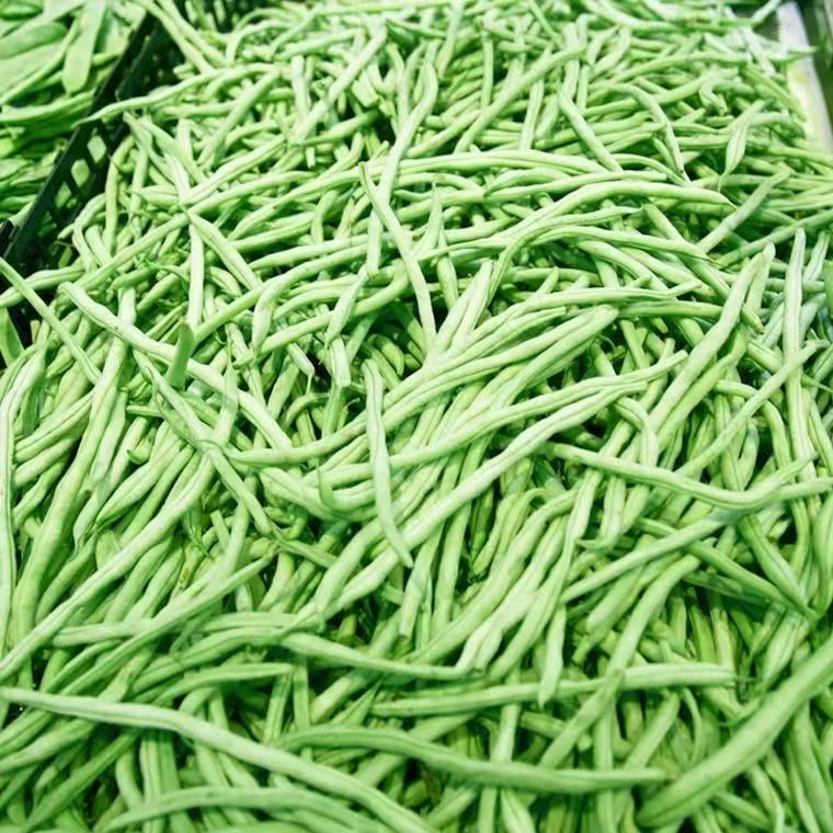 云南露天自种四季豆新鲜脆嫩多汁现摘现发发货 家常菜炒菜