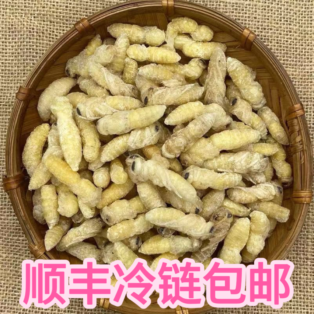 【顺丰包邮】金环虎头蜂蜂巢土蜂蛹新鲜马蜂可食用生鲜昆虫