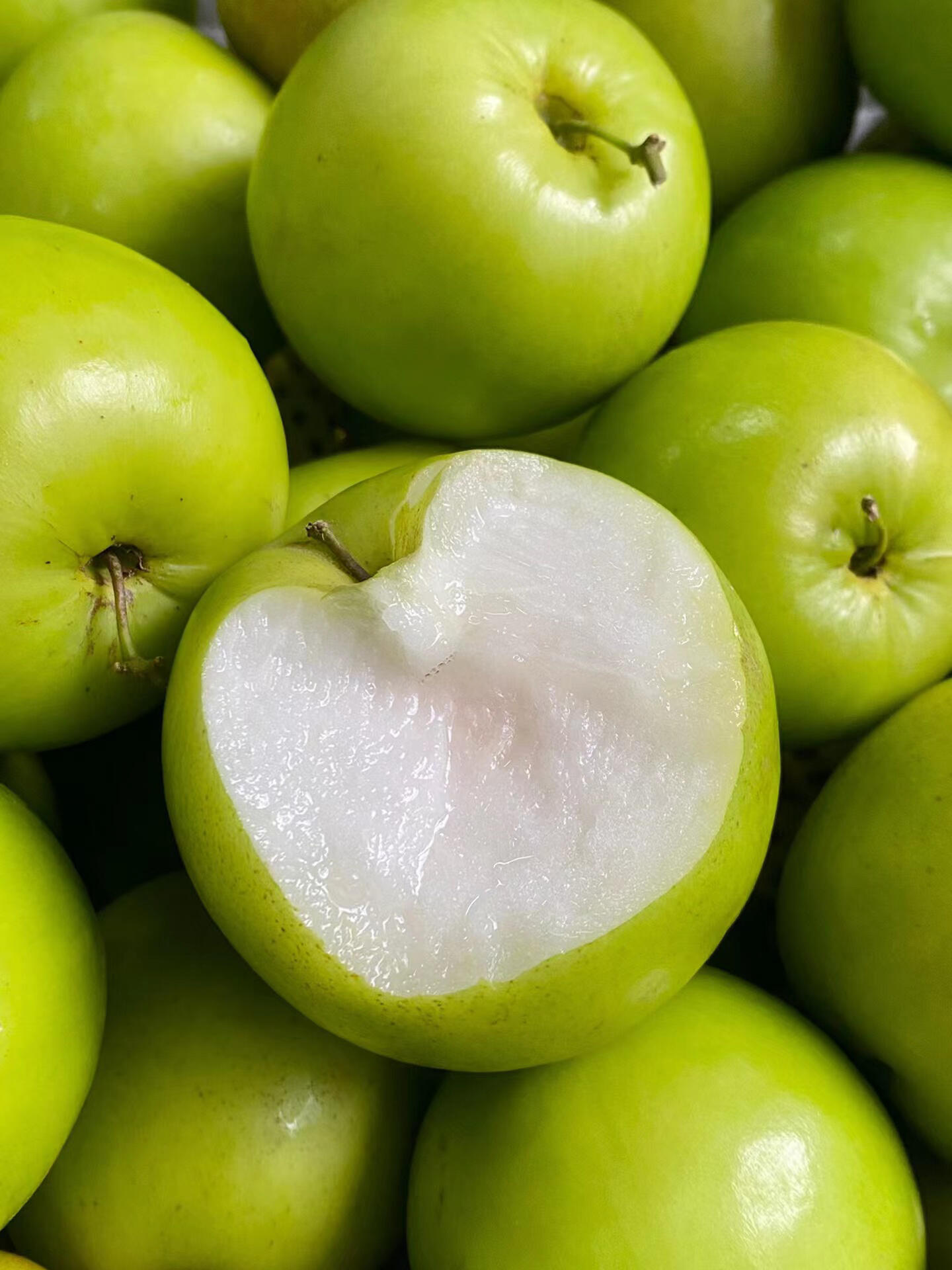 云南西双版纳苹果枣现摘精选脆甜多汁新鲜枣皮薄肉厚核小当季水果