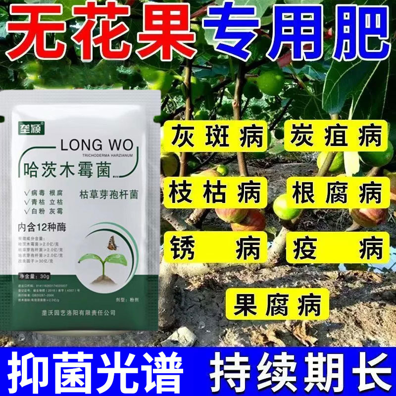 无花果锈病专用防黄叶果腐烂根炭疽病灰霉病枯枝病通用生物菌剂肥