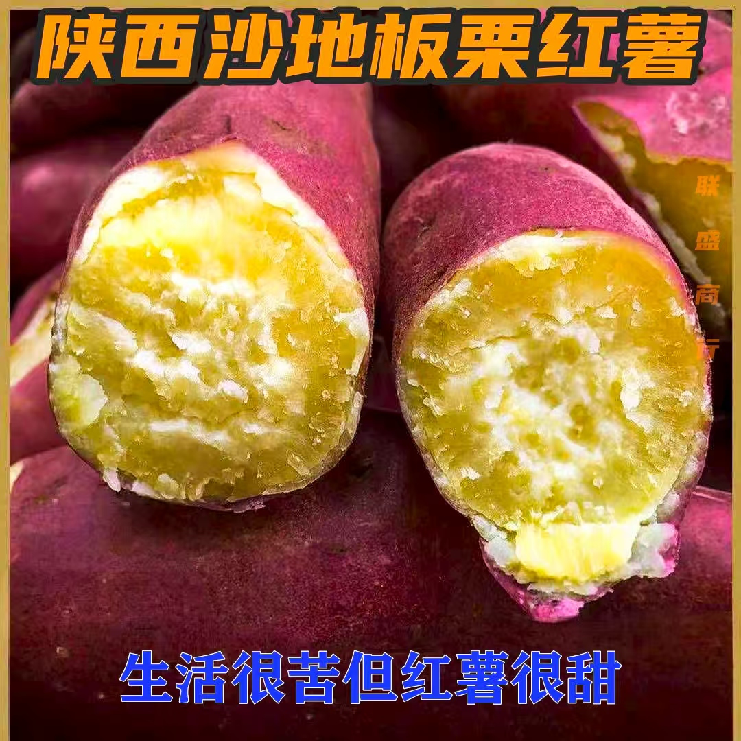 陕西正宗沙地板栗红薯地瓜红皮地瓜软糯香甜番薯糖心蜜薯现挖现发
