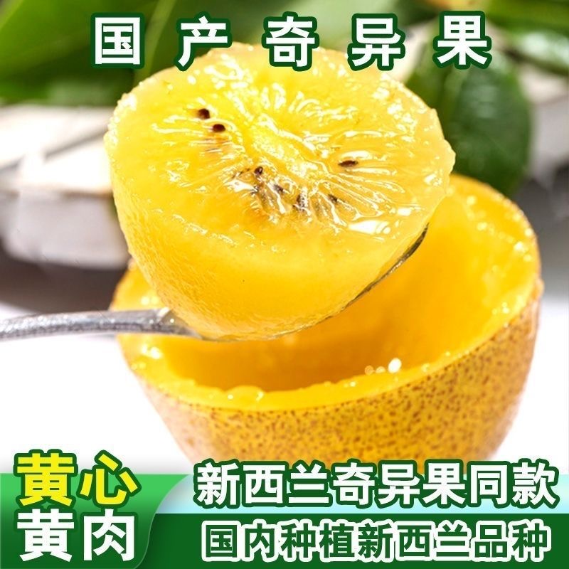 国产金果黄心奇异果猕猴桃新鲜水果应当季现摘弥猴桃大果孕妇