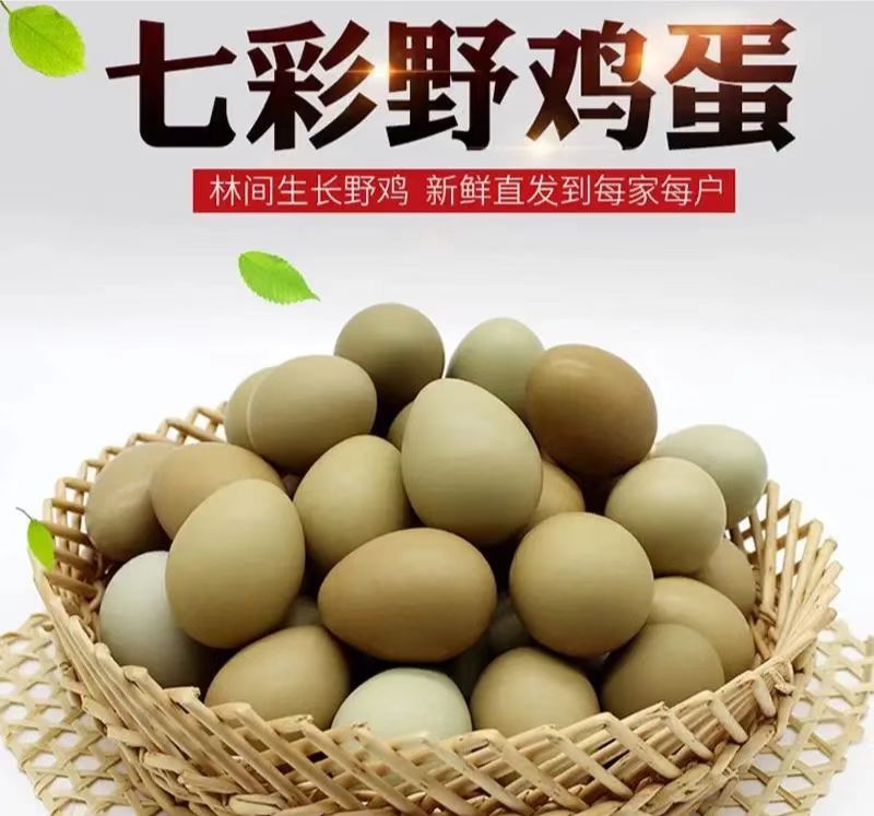 七彩山鸡蛋新鲜正宗户外散养30/60枚野鸡蛋农场直发宝宝辅食
