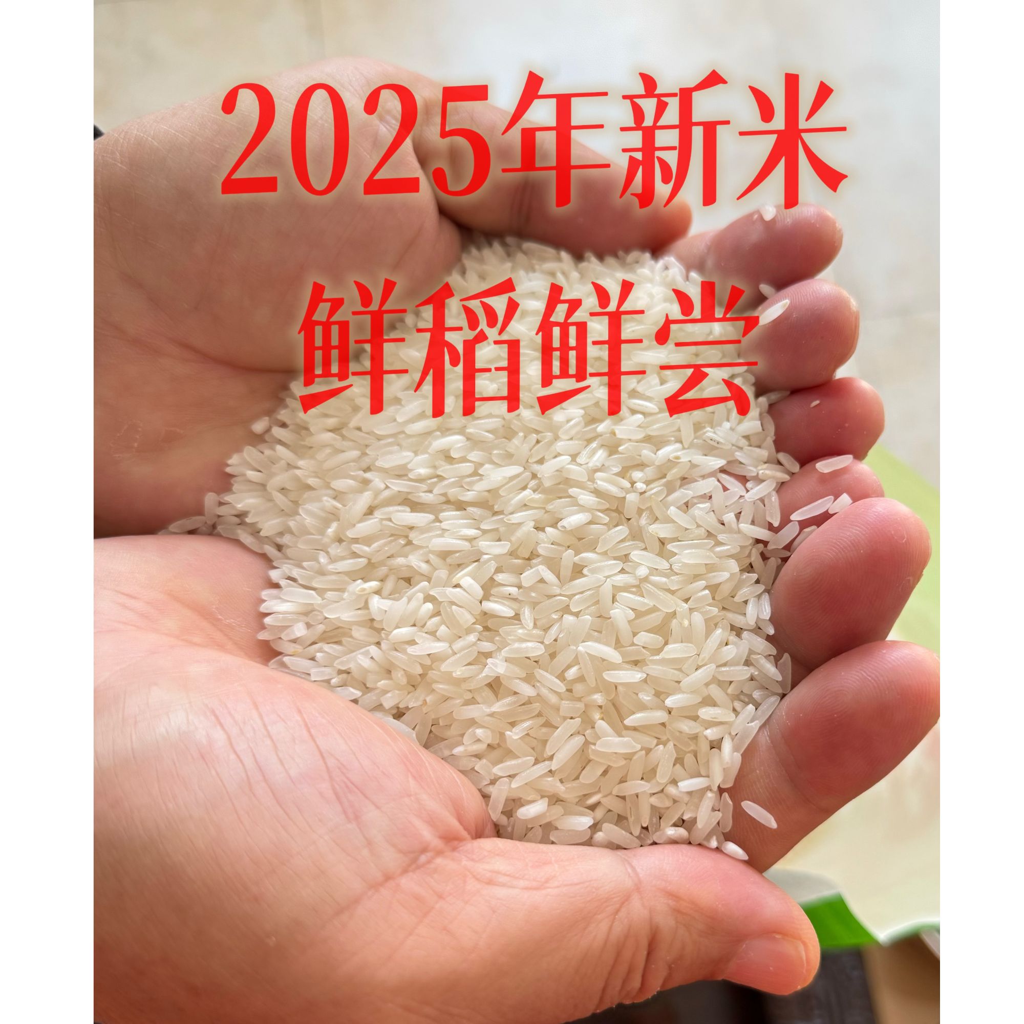 【2025年新米达人专属】四川长粒香大米清香软糯煲仔饭、熬粥新米