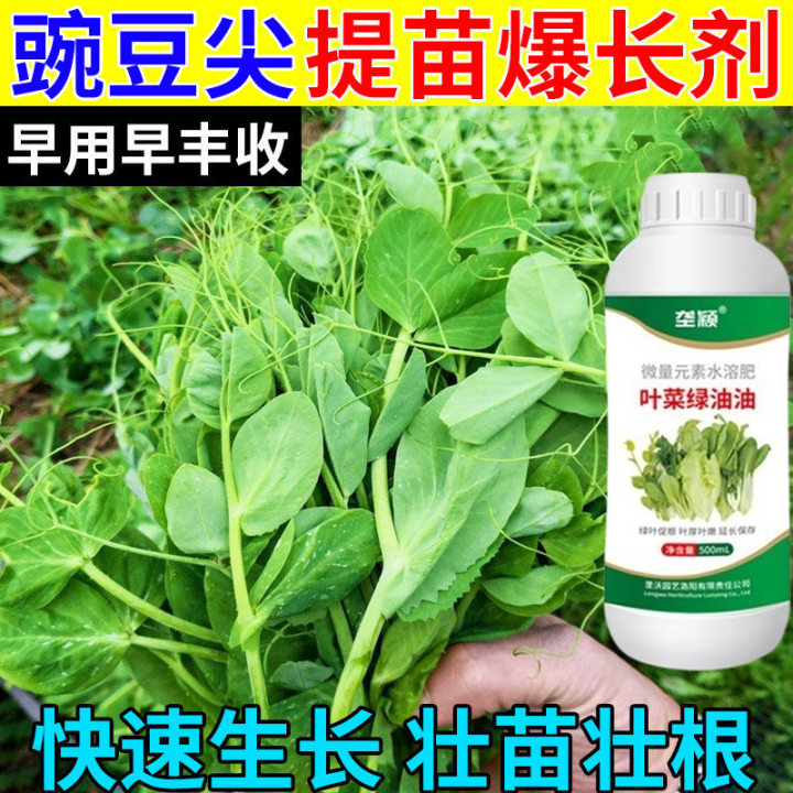 豌豆尖狂长提苗暴长生根壮苗豌豆苗豌豆尖膨大素豌豆尖专用肥料