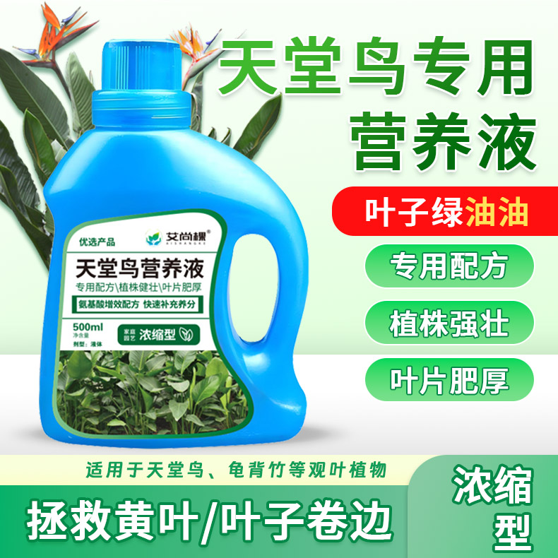 新升级天堂鸟专用营养液叶子发黄卷边开裂营养液室内盆栽植物肥料
