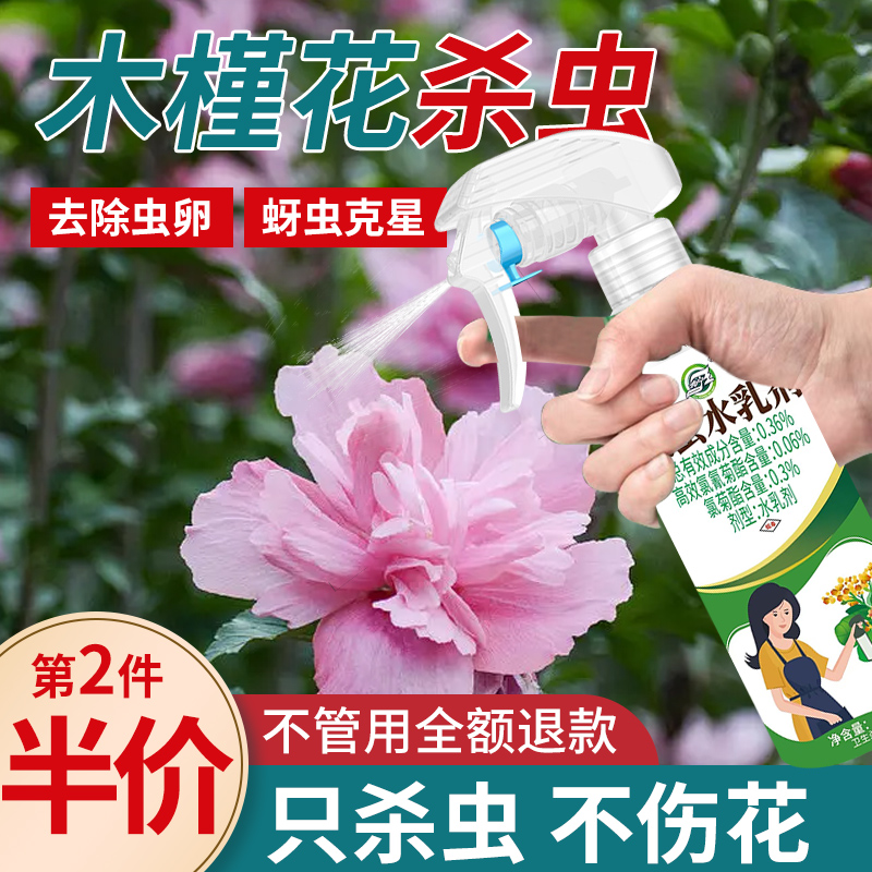【木槿花】杀虫剂家用植物花卉免稀释喷雾绿植灭小飞虫卵双杀神器