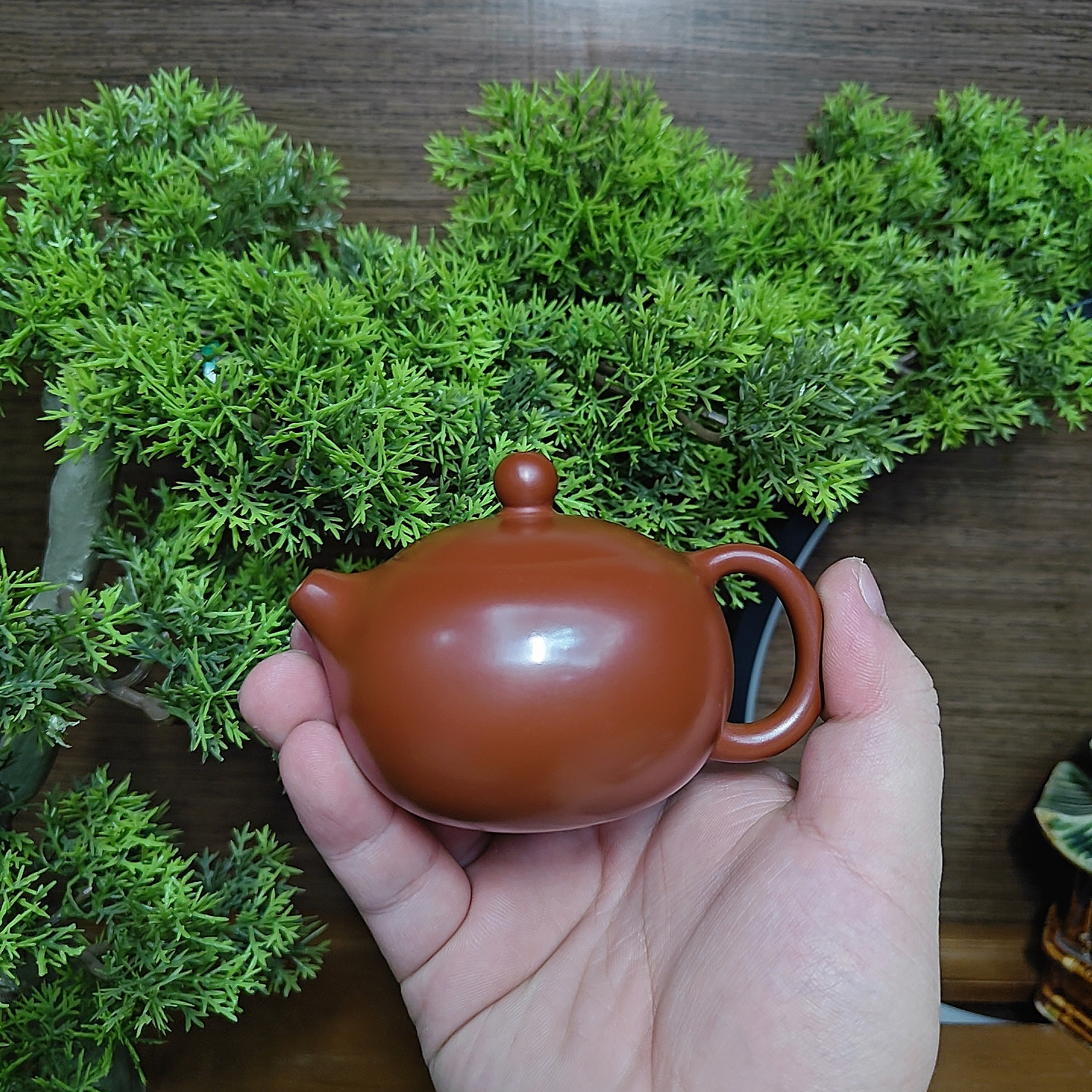 潮州手拉壶原矿朱泥内嵌盖朱泥西施壶纯手工拉胚成型工夫茶器泡茶