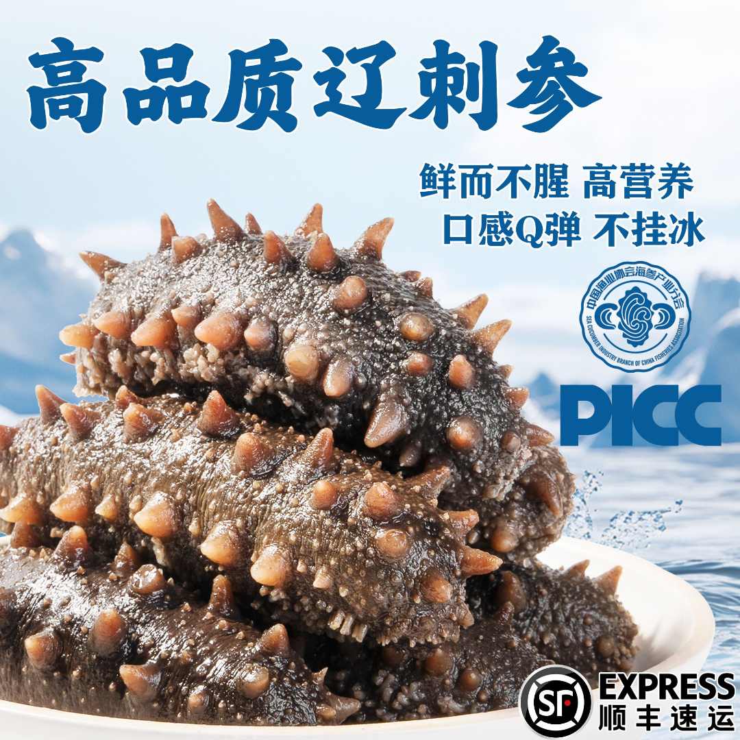 大连鲜食海参辽刺参8-10头顺丰包邮送货上门口感Q弹有韧性