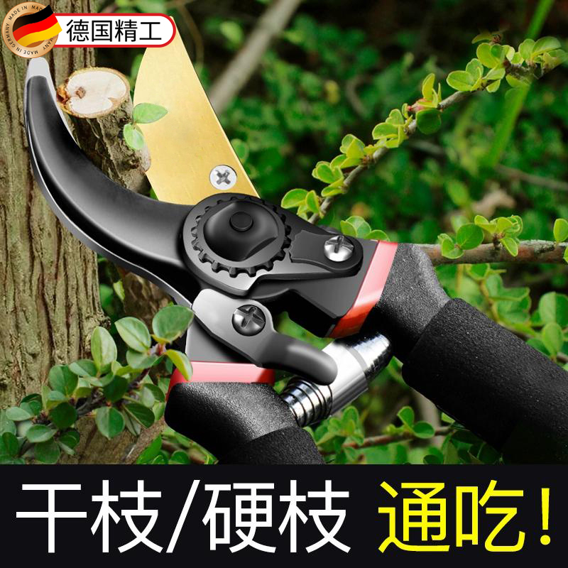 德国剪枝剪刀园林花艺修剪树枝剪刀果树剪刀粗大花剪园艺剪子工具