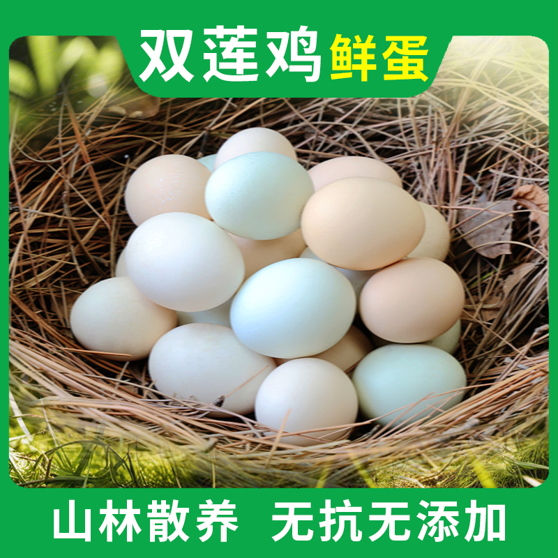 农家山林散养鸡蛋健康双莲鸡蛋新鲜土鸡蛋营养