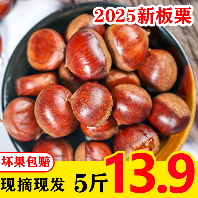 【产地直发】2025新鲜5斤老树丹东大板栗生栗子营养甜糯饱满难剥皮