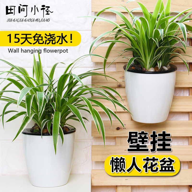 壁挂花盆懒人盆室内外免浇水挂墙免钉好养垂吊花盆绿萝吊兰挂式盆