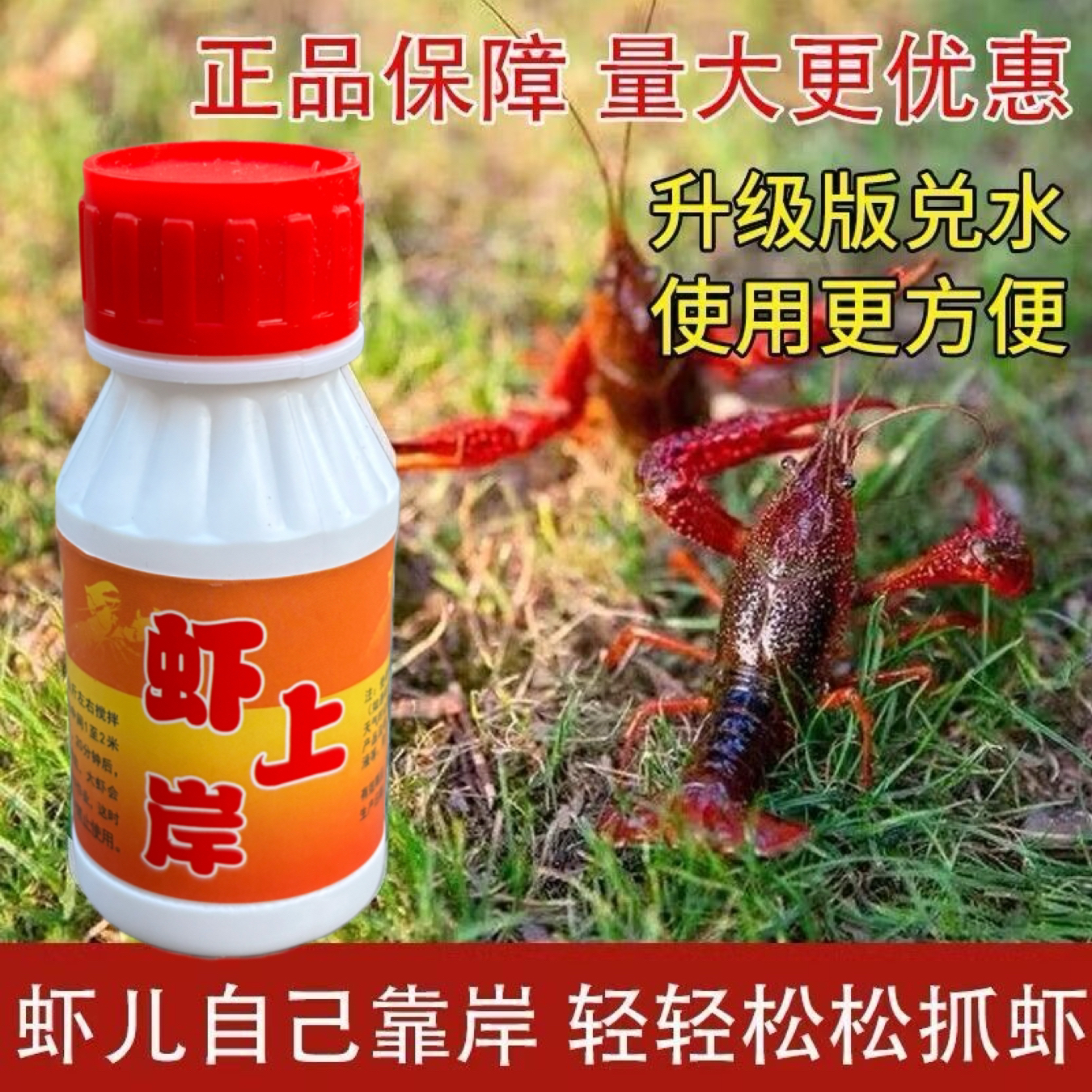 户外老渔民抓虾必备饵料农村河虾