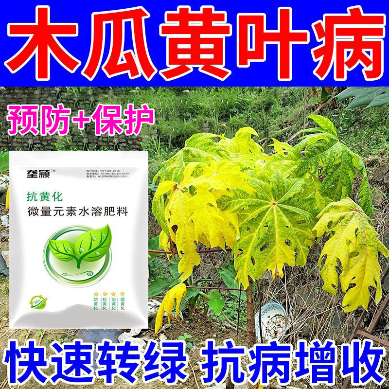 木瓜黄叶病专用叶子发黄叶斑病黄化病烂叶专管黄叶黄化病农用肥料