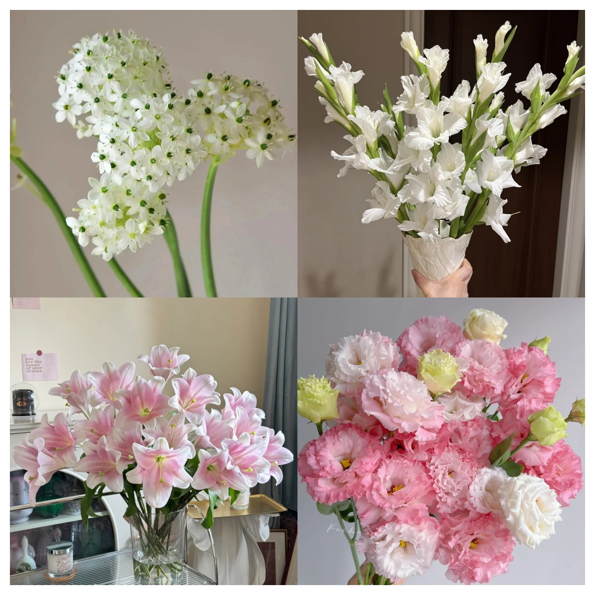 【婵姐原创花束】鲜花组合套餐/家居日常瓶插/一单顺丰冷链包邮