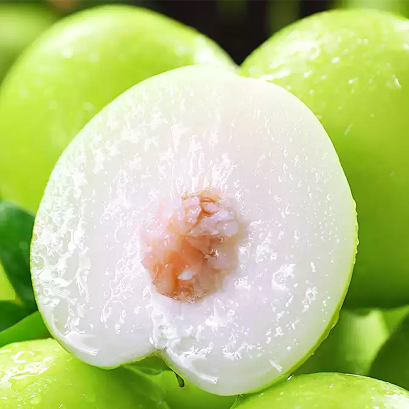 福建漳州牛奶贵妃枣脆甜爽口3斤/4.5斤 单果60g起