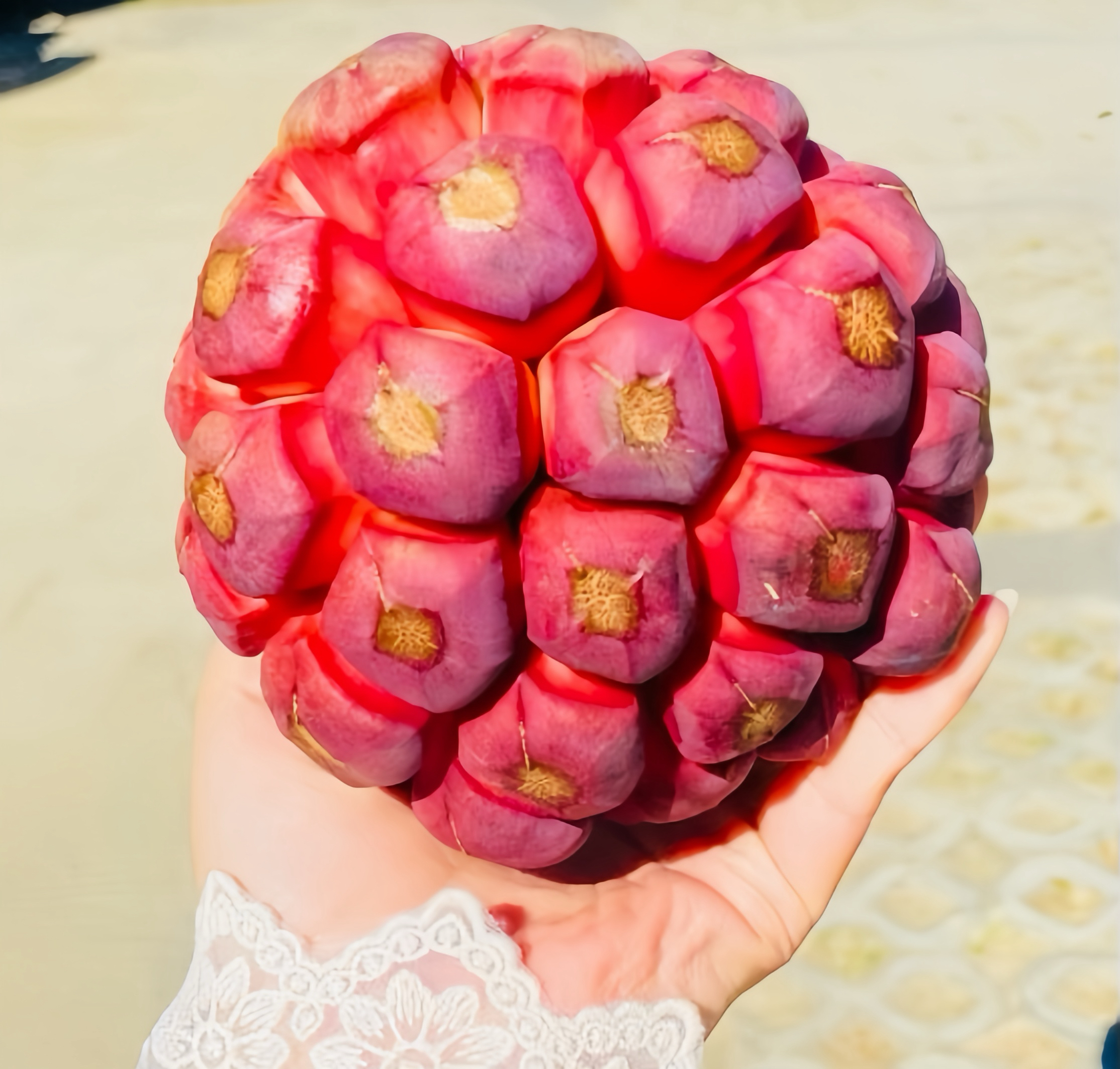 云南高山黑老虎老虎果恶魔果布福娜当季新鲜稀有水果观赏食用