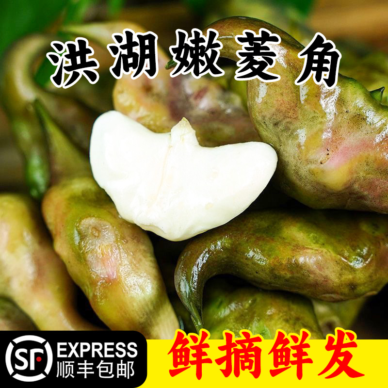 【华贵】丰收季新鲜洪湖嫩菱角3斤 老菱角1斤/3斤/5斤   顺丰包邮