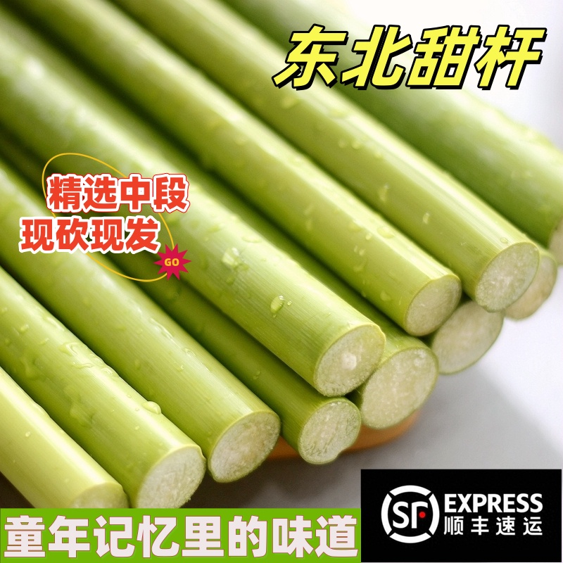 东北特产甜杆新鲜应季孕妇水果小甘蔗现砍甜杆小甘蔗包邮甜芦粟