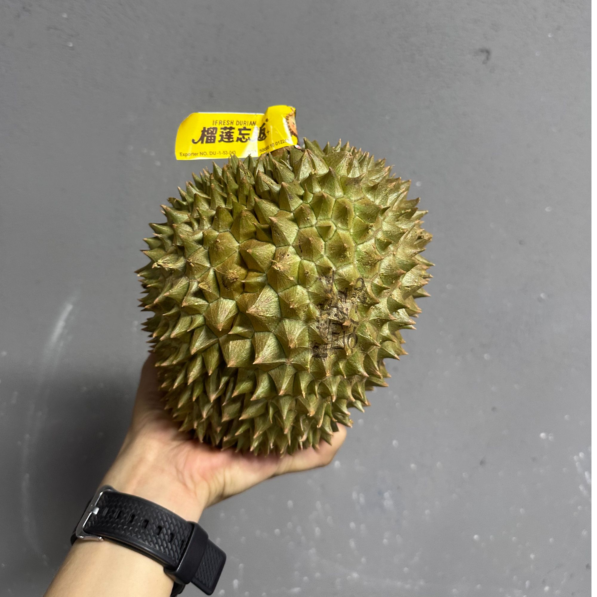 巴拉乌【规格链接】泰国空运金枕头 A果 榴莲 香甜软糯