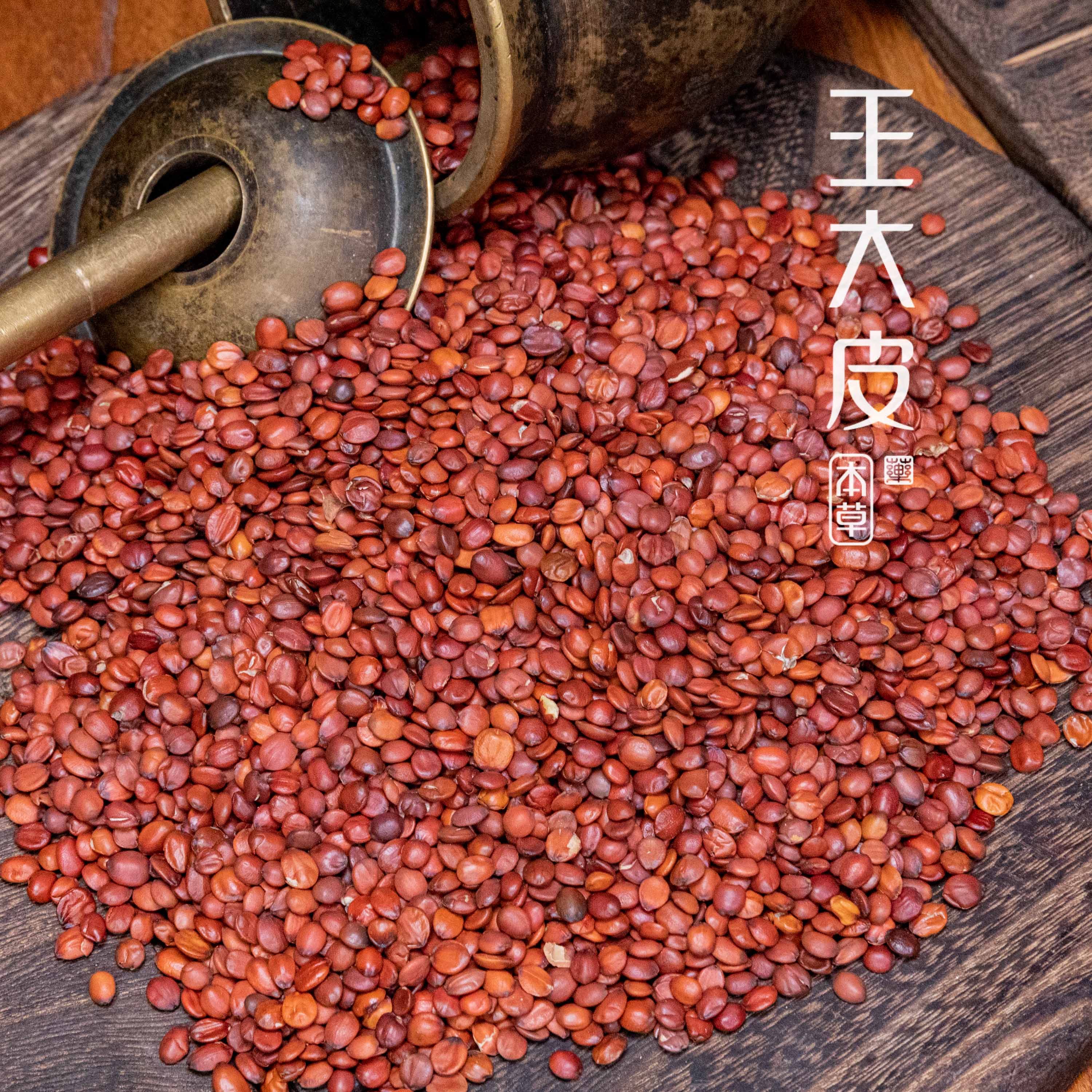 生酸枣仁 道地高品质经方经典优质正宗原产地直邮新鲜