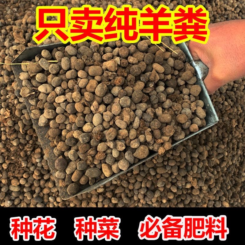 【贵人多忘事】干羊粪蛋蛋腐熟发酵羊粪粉末农家肥花卉蔬菜种植通用