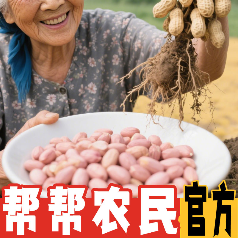 当季精选新鲜大粒粉红皮白沙生花生米仁现剥无壳新货新鲜生花生