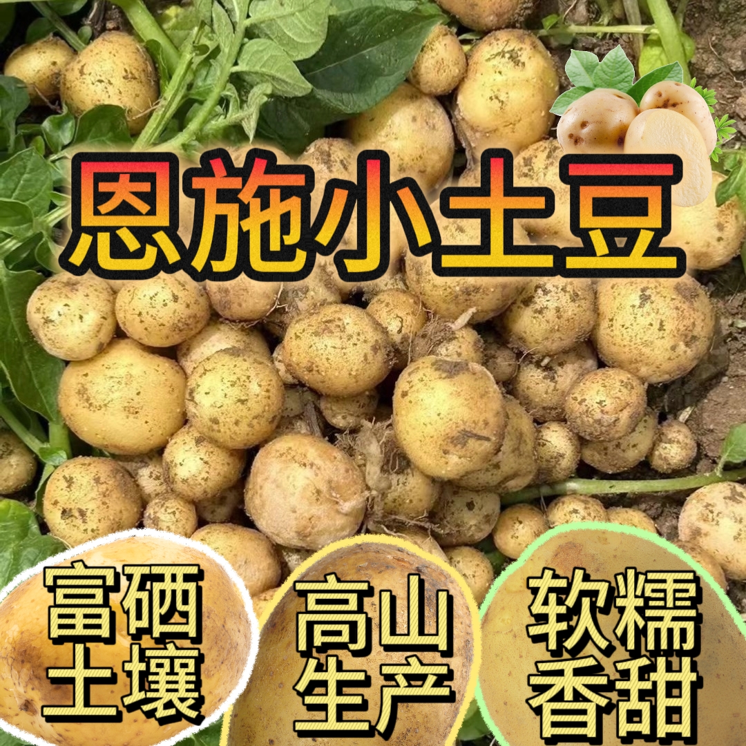 现挖现发恩施马尔科富硒小土豆粉糯香甜小土豆正宗恩施小土豆洋芋