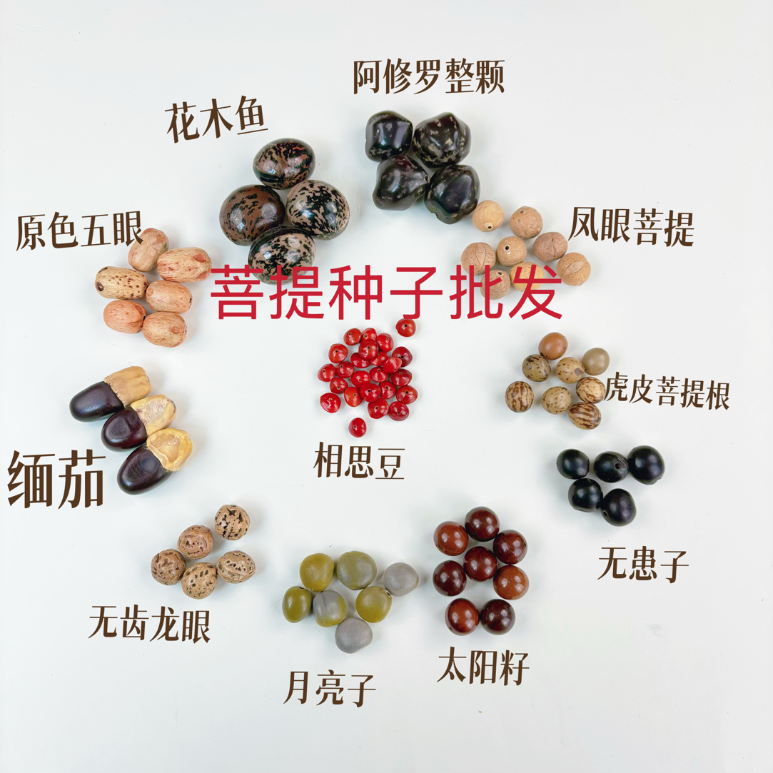 满愿种子 文玩菩提 种子 散珠批发