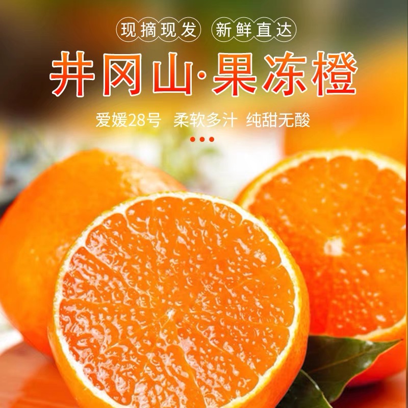【京东包邮】江西井冈山爱媛果冻橙家庭整箱手剥橙当季新鲜水果橙子