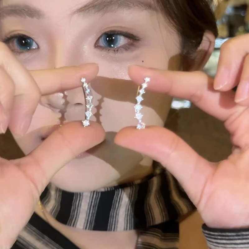 s925银针耳环2025新款爆款高级感一排式锆石耳钉轻奢小众设计感女